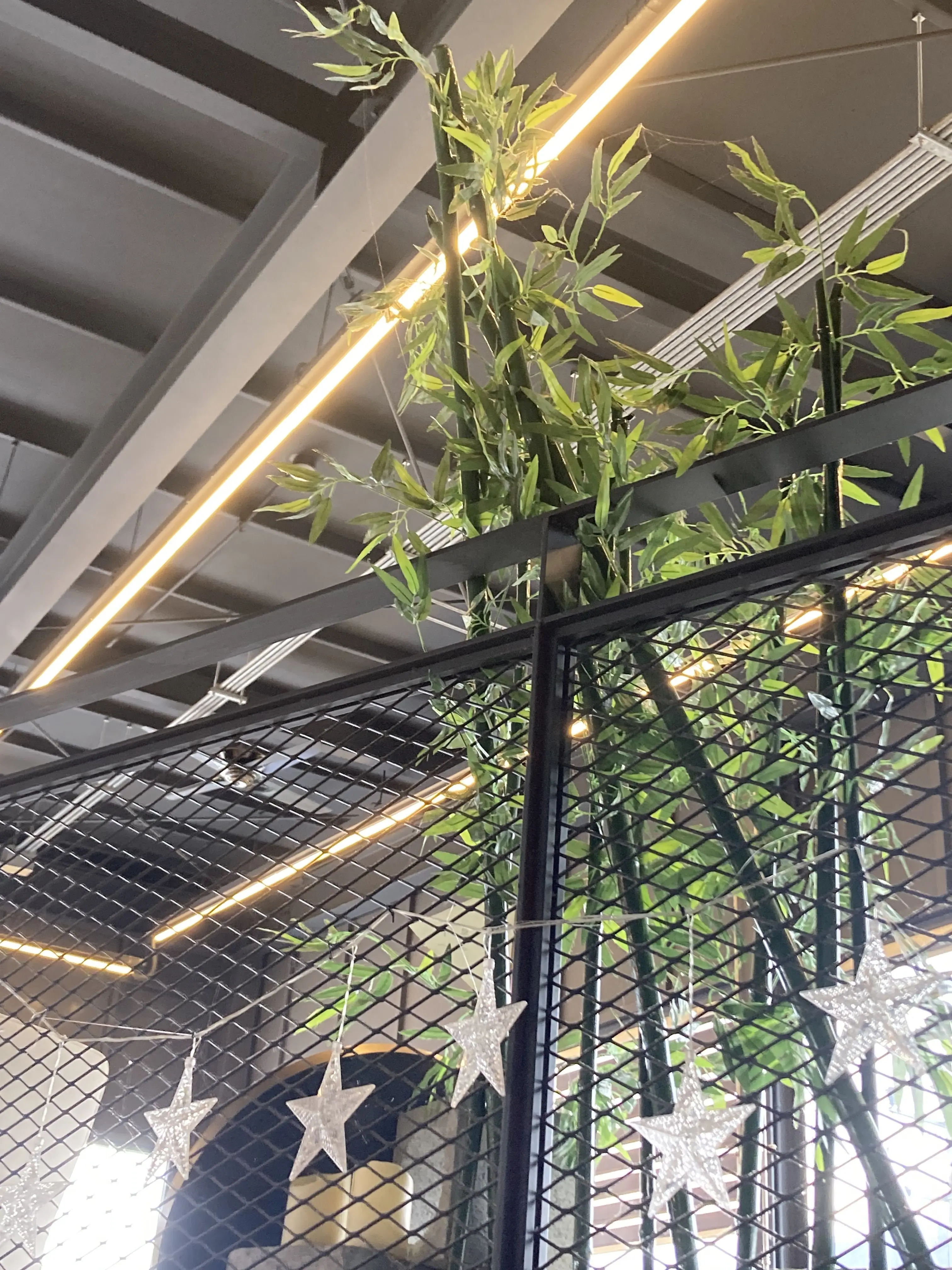 MilkyWayCookieVeryCute의 비스트/에이션트/여우 깡패(?)