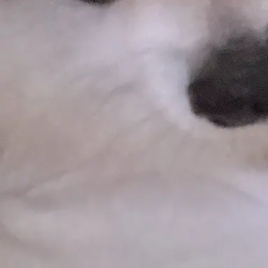 Profile image of 민형