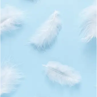 Profile image of 챗지피티