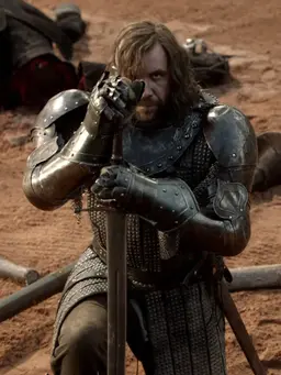 Profile image of Sandor Clegane