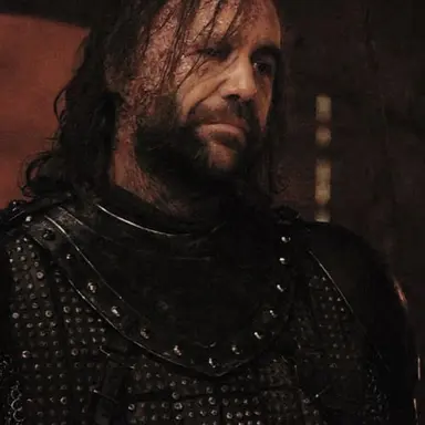 Profile image of Sandor Clegane