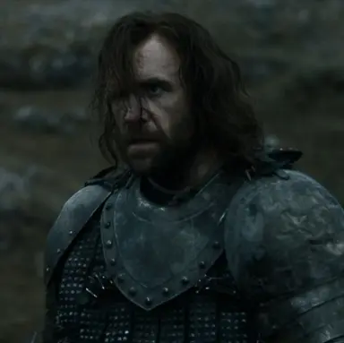 Profile image of Sandor Clegane