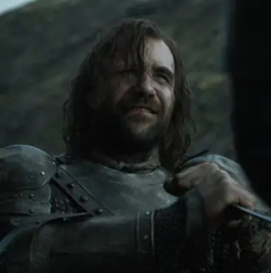 Profile image of Sandor Clegane