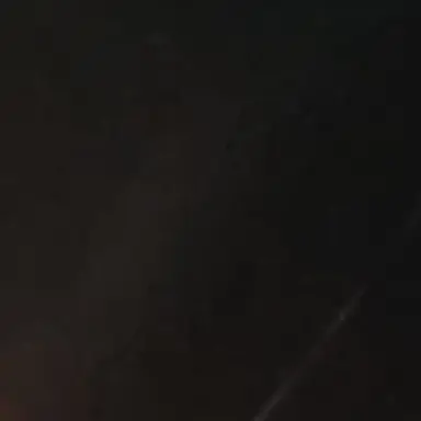Profile image of 자유롭게