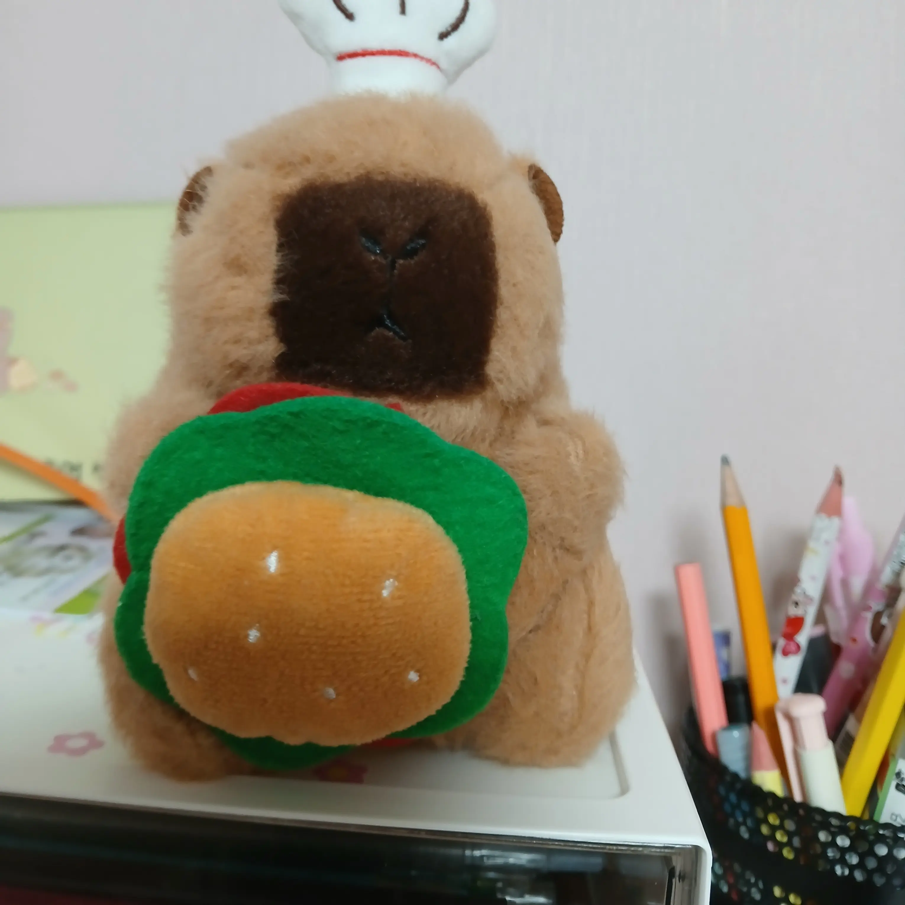 CreamCoati3217의 고고프렌즈 인데 여우?당신은신입