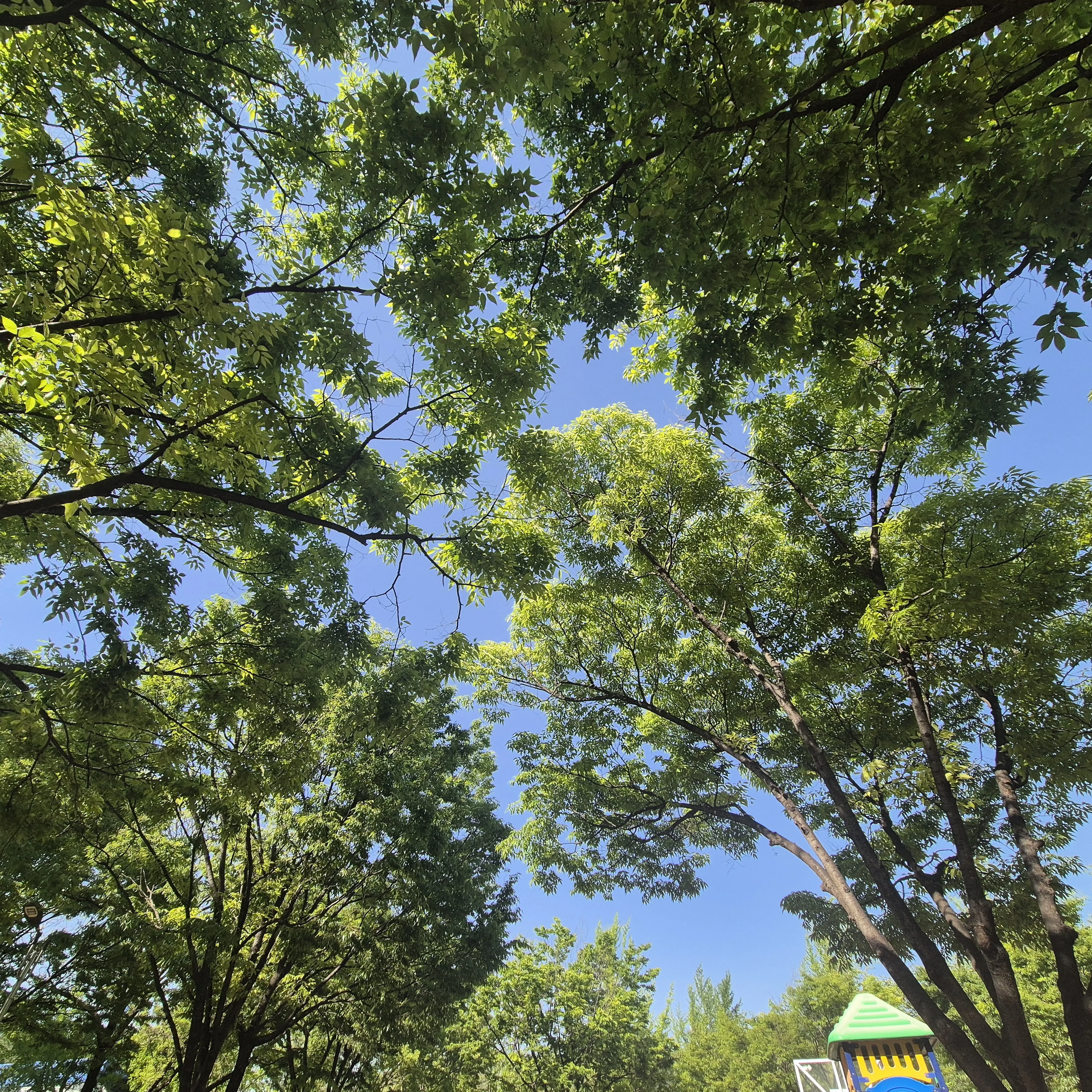 집사