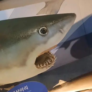 Profile image of 붕식이