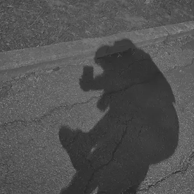 Profile image of 蓮