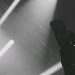 PotentPet0022의 🏩