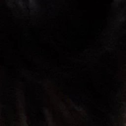 장하오