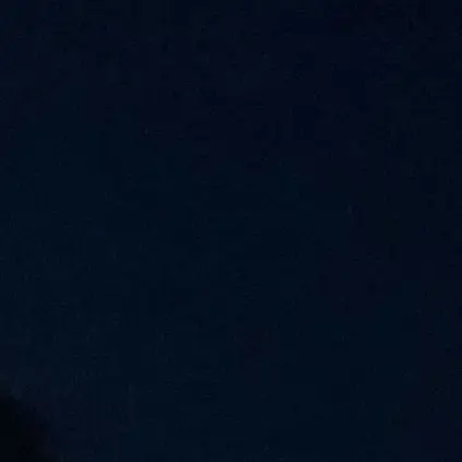 CurvyHorgi9032의 최제일