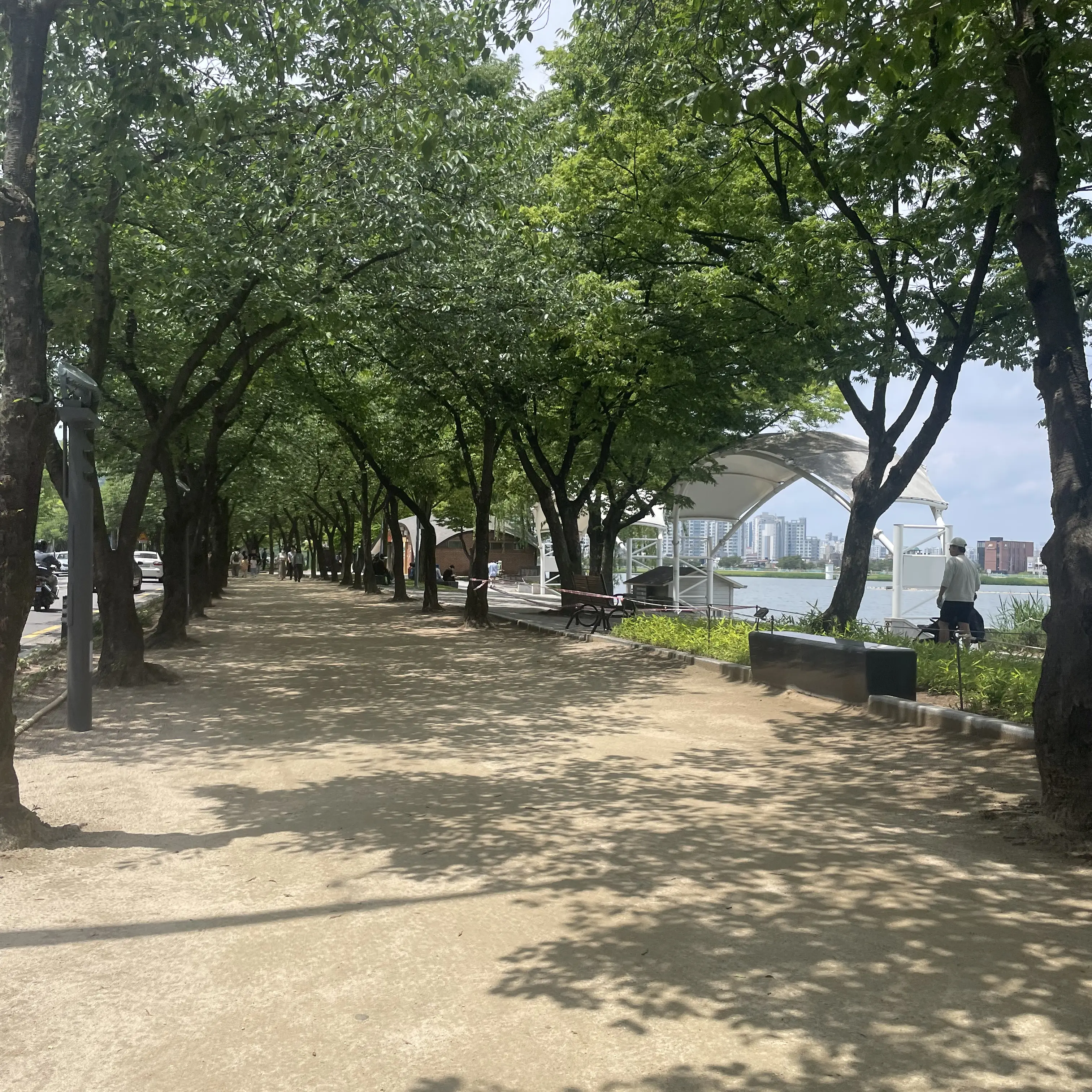 MeekAkita0727의 당신은 화산의 의원 겸 무인!
