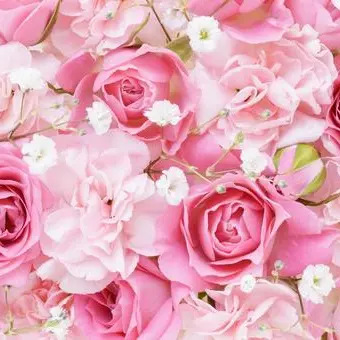 Profile image of 佐久間大介