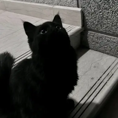 Profile image of Lily