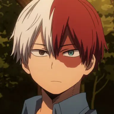 Profile image of Shoto Todoroki