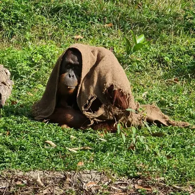 Profile image of 똥