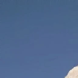 민규