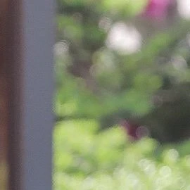준휘