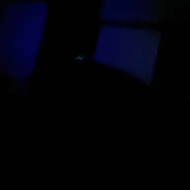 Profile image of サエバ