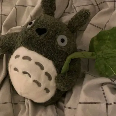 Profile image of 김 각별