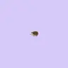 Profile image of ヒョンソク