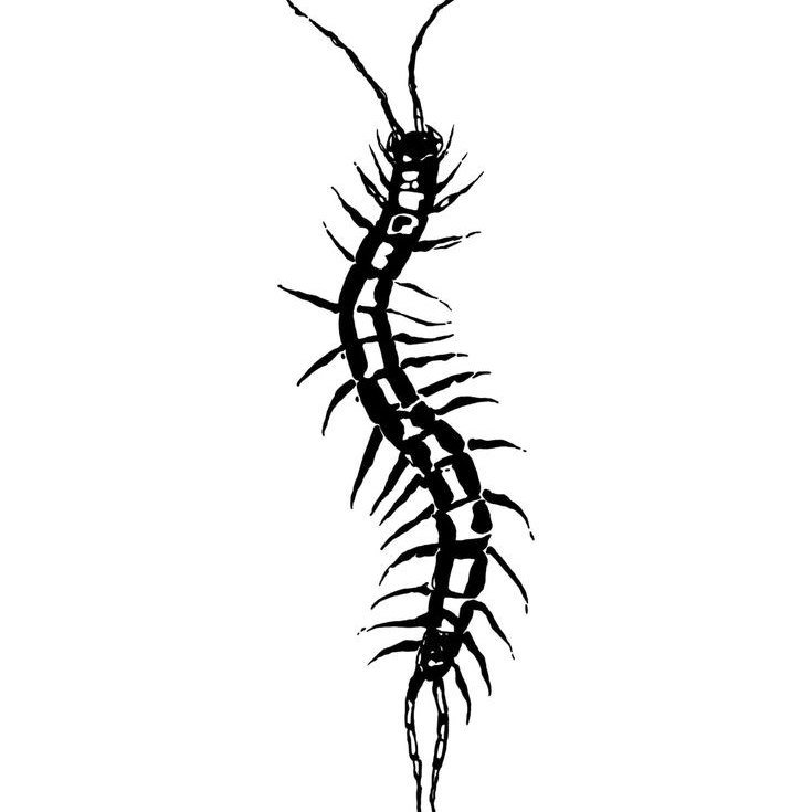 狩魔 대표 이미지