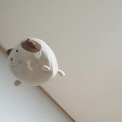 냥이