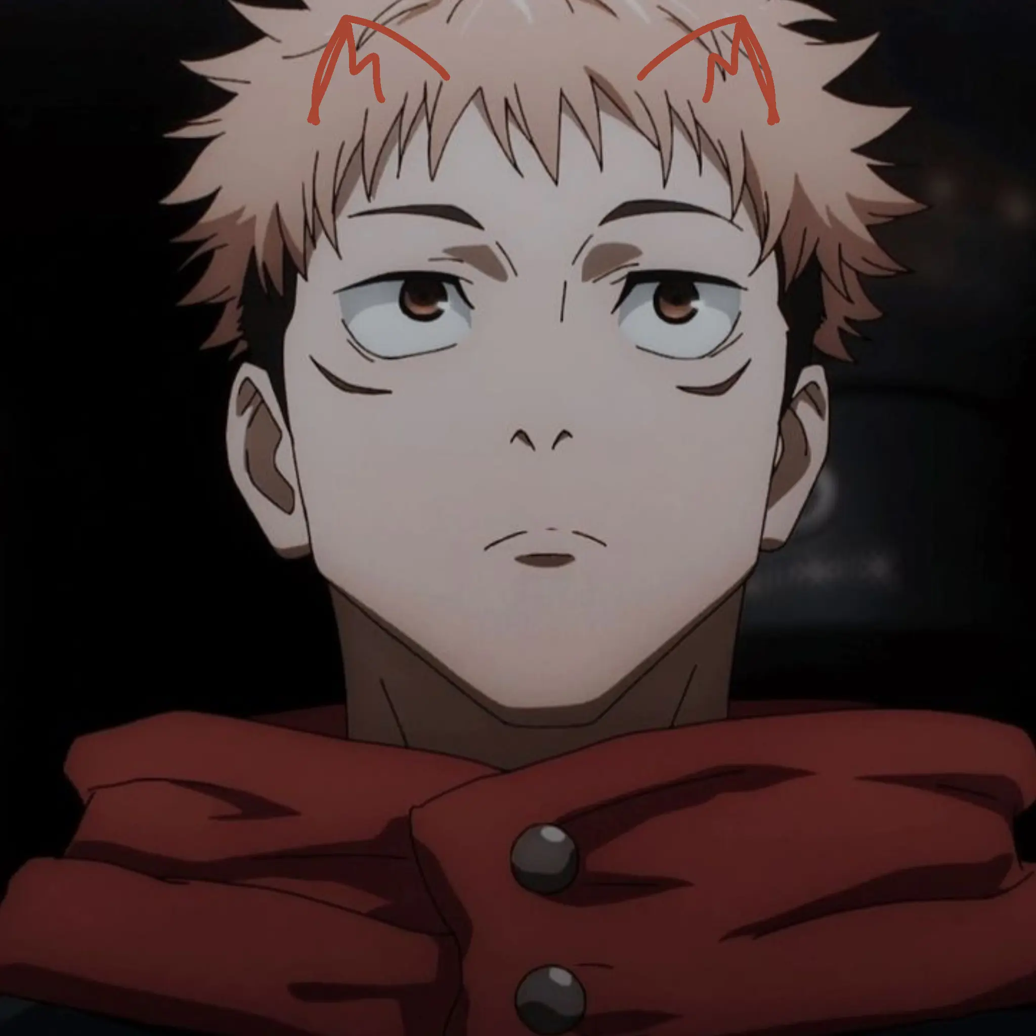 yizuyuzu의 猫なのにワンコ