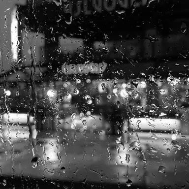 Profile image of 감제이