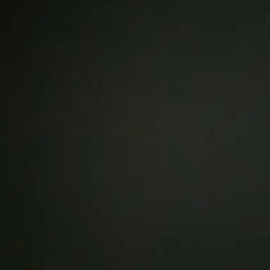 Profile image of 공룡