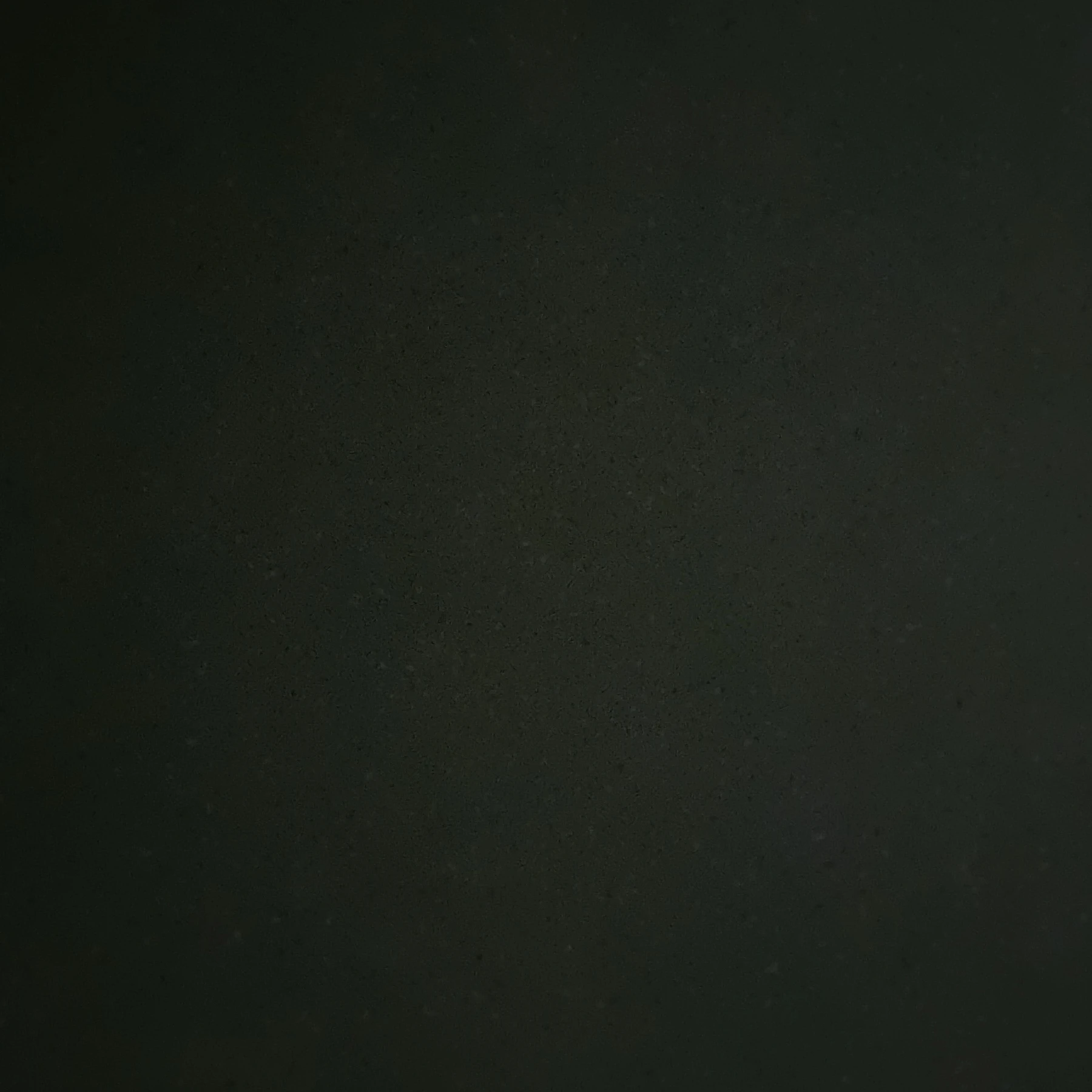 라더.