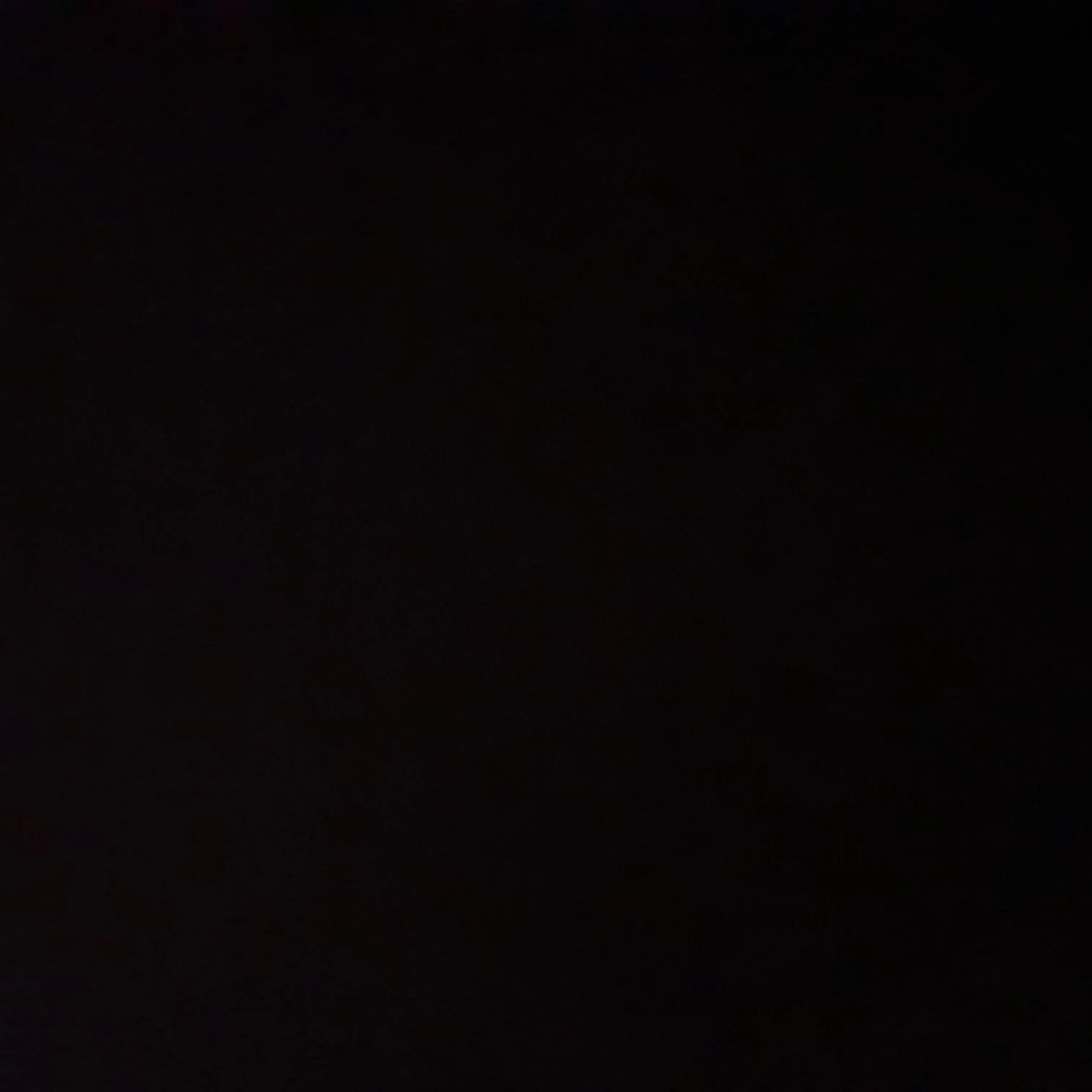 BluntTrump7726의 공지