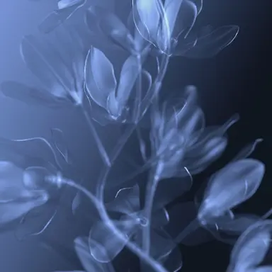 Profile image of 파이브