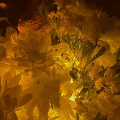 Profile image of 쪼만