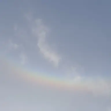 Profile image of 쉐밀