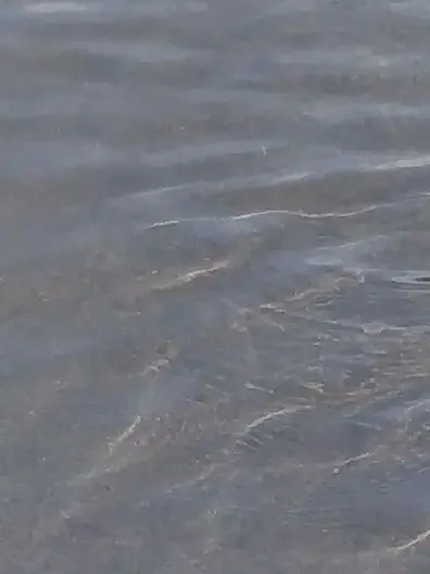 SleepyFrond9735의 遠くに旅行へ行った彼氏