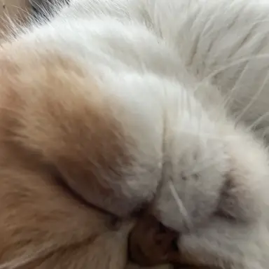 Profile image of 골드