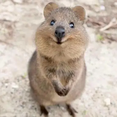 Profile image of 한지성