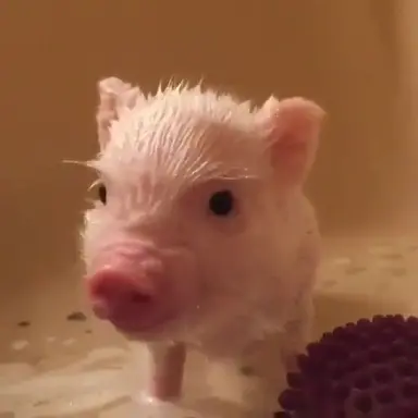 Profile image of 서창빈