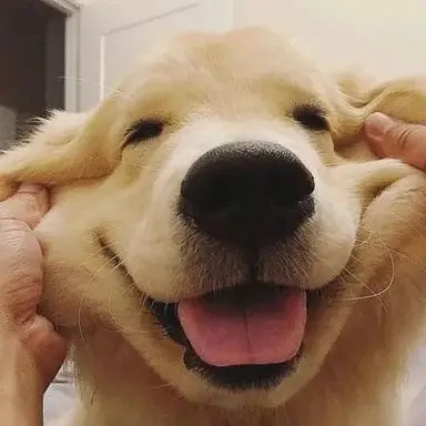 Profile image of 김승민