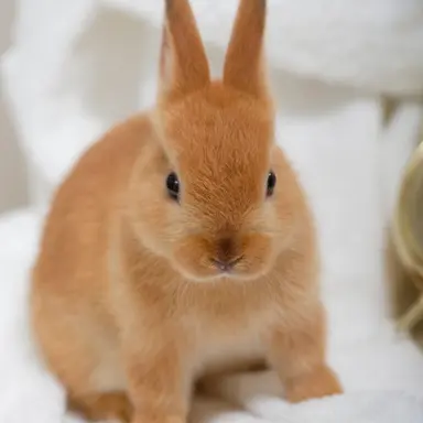 Profile image of 이민호