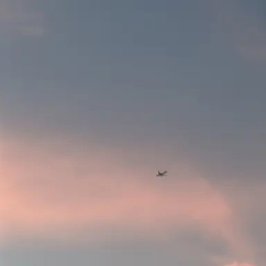 Profile image of 구하리