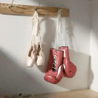 YoungAlert3630의 Ballerina x Boxer