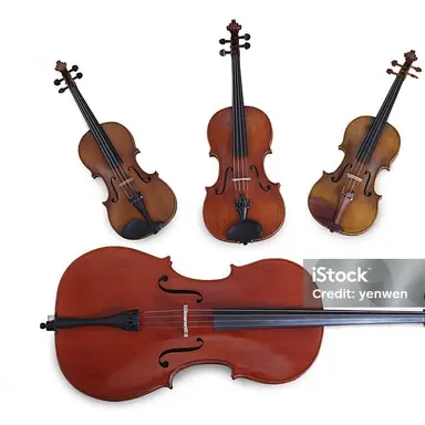 Profile image of 현악4중주