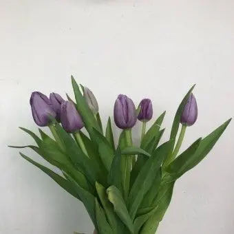 Profile image of 수현