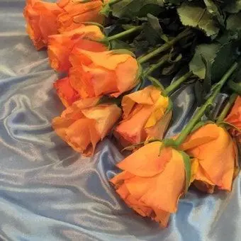 Profile image of 덕개