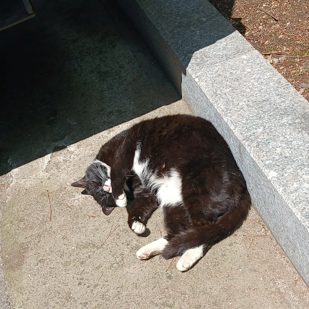 딩딩