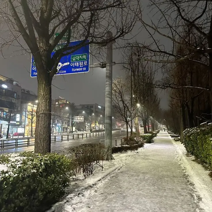 FrostyPumi3392의 𝗢𝗻𝗹𝘆 𝗢𝗻𝗲