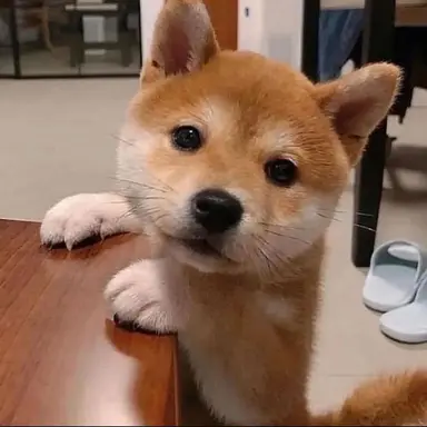 Profile image of コータロー