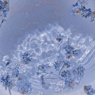 Profile image of 파이브